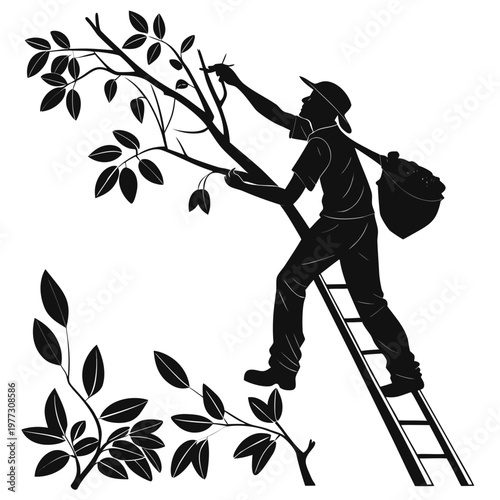 A black silhouette illustration of a man pruning a tree on a ladder with a bag