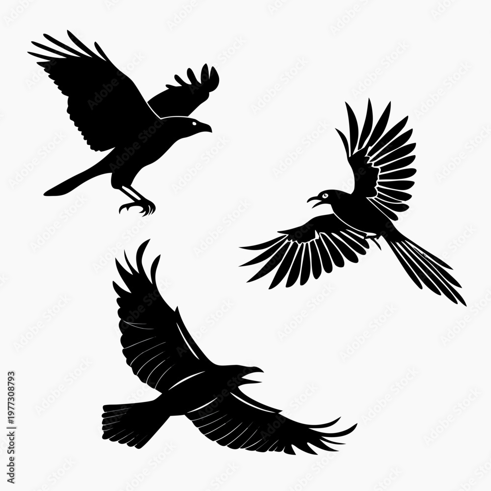 Obraz premium A set of three black bird silhouettes flying in different directions on a white background