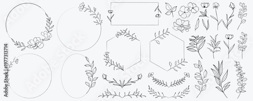 Delicate line art frames and botanical elements for elegant designs.