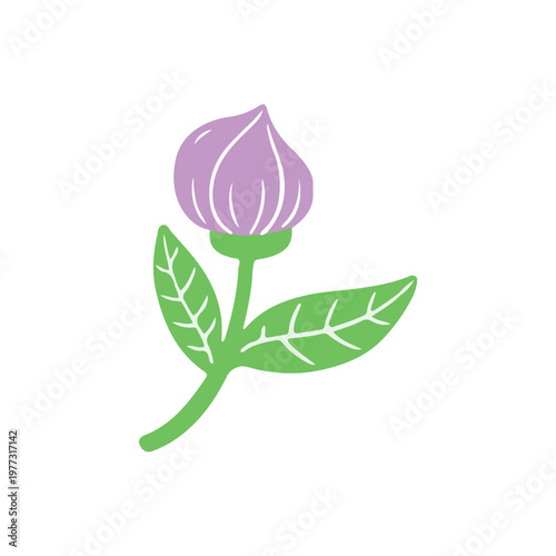 Purple flower bud on green stem with leaves