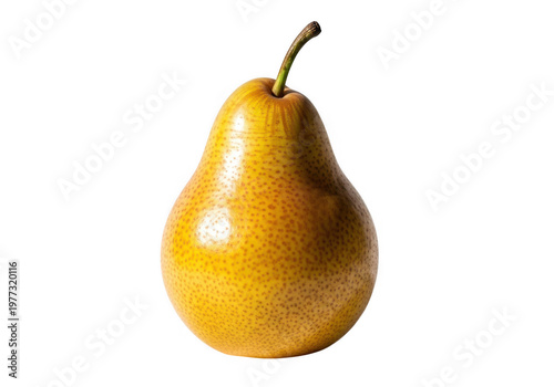 Fresh Ripe Yellow Pear Fruit With Stem For Healthy Food Concepts