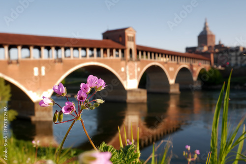 Pavia city village historic center square church