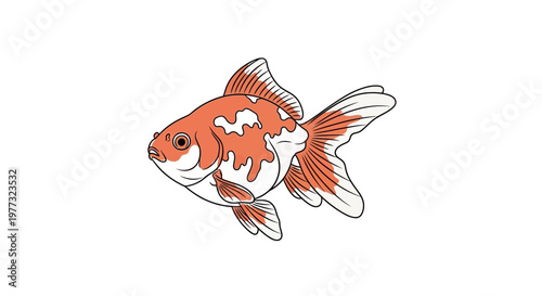 Orange and White Goldfish Illustration