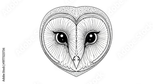 Barn Owl Face Heart Shape Line Art - Black and White Drawing Illustration