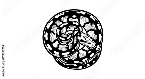 Coiled Serpent Illustration, Black and White, Reptile Art, Graphic Design