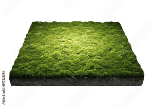 Square Cross Section Of Lush Green Moss Terrain And Soil Patch