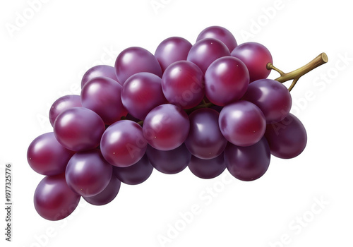Fresh Ripe Purple Grapes Bunch For Healthy Fruit Diet Concepts