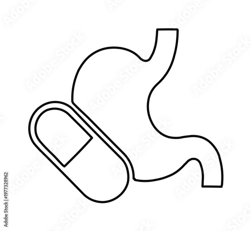 Stomach and pill line icon vector, human digestive system anatomy with medical capsule, gastrointestinal health and medicine symbol