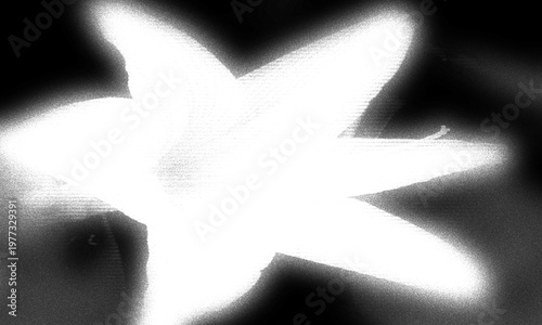 Flower grainy textures background with monochrome soft blurs, energetic, dreamy, retro, cinematic, website header, banner, poster.