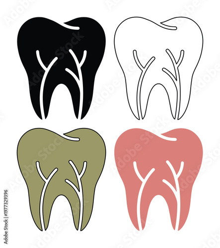 Dental tooth icon set with nerve anatomy, 4 vector tooth silhouettes for dentistry, molar tooth symbols in black and color for dental clinic branding