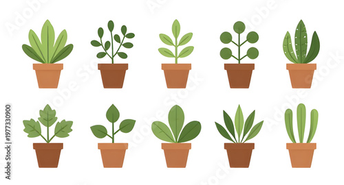 plant design illustration, pot design illustration, potted design illustration, flowerpot design illustration, planter design illustration, foliage design illustration, leaf design illustration, green