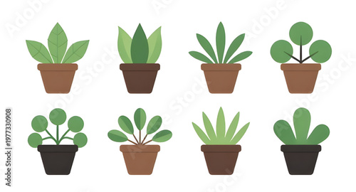 plant design illustration, pot design illustration, potted design illustration, flowerpot design illustration, planter design illustration, foliage design illustration, leaf design illustration, green