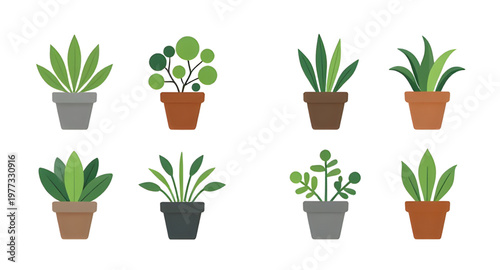 plant design, pot design, potted design, flowerpot design, planter design, foliage design, leaf design, greenery design, nature design, indoor design, outdoor design, garden design, decor design, home