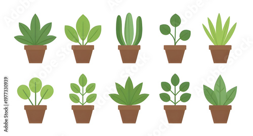 plant design, pot design, potted design, flowerpot design, planter design, foliage design, leaf design, greenery design, nature design, indoor design, outdoor design, garden design, decor design, home