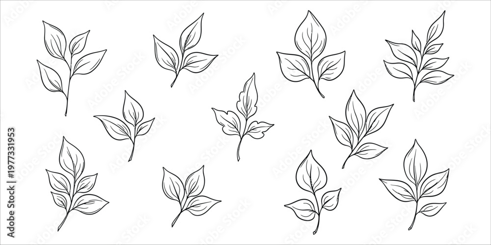 Fototapeta premium Botanical illustration collection of delicate hand drawn leaf sprigs