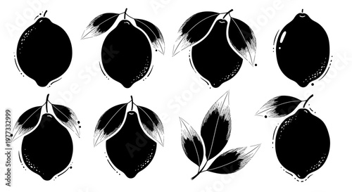 Set of Black Silhouette Lemons with Leaves and Stems.