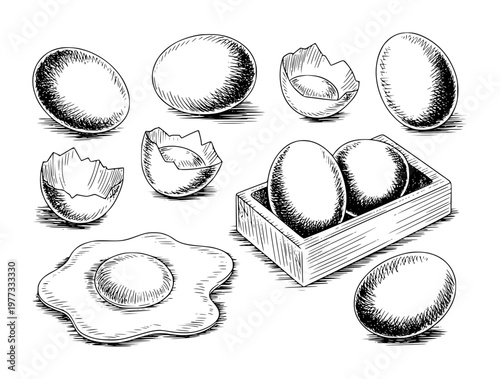 Hand Drawn Collection of Eggs and Eggshells in Style White Background broken cracked