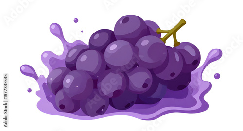grape design, fruit design, purple design, bunch design, vine design, fresh design, juicy design, juice design, splash design, liquid design, water design, drop design, droplets design, pulp design, s