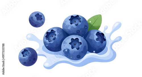 blueberry illustration, blueberries illustration, berry illustration, fruit illustration, juicy blueberry, blueberry juice, juice splash, water splash, liquid splash, blueberry splash, fresh blueberri