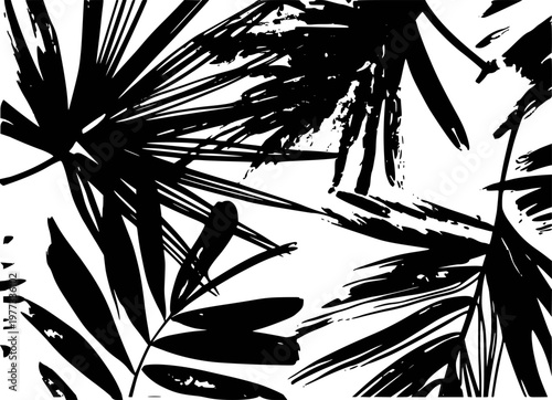 Black and white abstract palm leaf pattern with brush strokes white background
