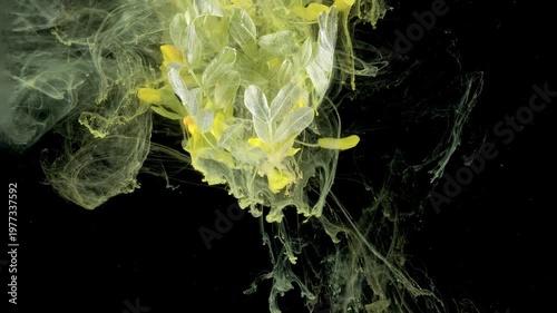 Yellow green ink forming leaf shapes in studio tank, botanical motion suggesting organic emergence, slow cinematic flow, artist pigment experiment