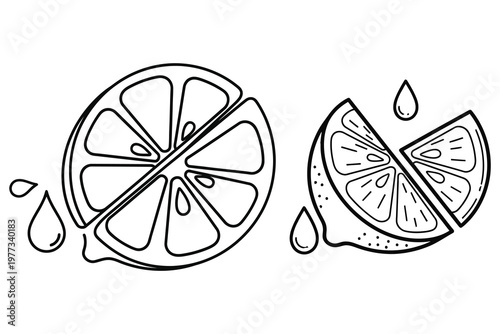Citrus delight a hand drawn illustration of sliced lime with droplets