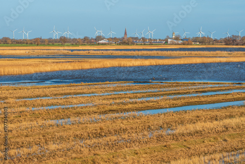 Das Vogelschutzgebiet und Naturschutzgebiet Wallnau auf Fehmarn an der Ostsee im Frühling