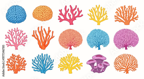 Colorful Coral Reef Marine Life Forms.