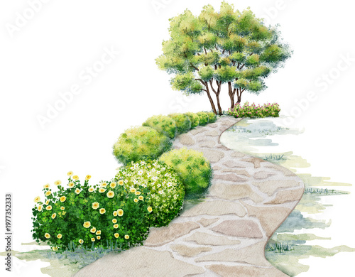 Watercolor of Stone Path Garden with Shrubs and Trees