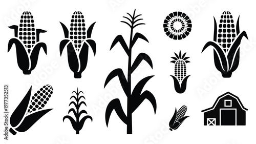 Black corn silhouettes, cob kernels stalks and agricultural plant icons isolated on white background, farming infographic branding and product packaging design