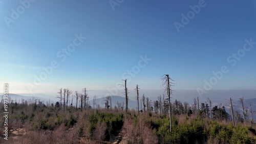 Panoramic view from Frauenwald observation tower in Bavarian Forest overlooking hills and woodland landscape