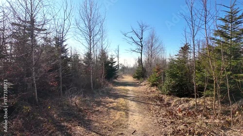 First person view hiking on forest trail near Frauenwald observation tower in Bavarian Forest with natural scenery