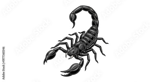 Scorpion illustration, stylized, isolated on white background, dark tone