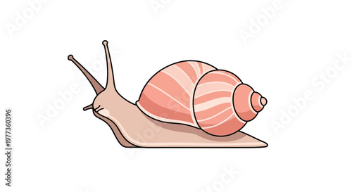 Cute Snail Illustration, Pink Shell, Isolated on White Background