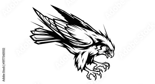 Aggressive Hawk Eagle Bird of Prey Talon Attack Vector Graphic