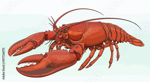Detailed Illustration of a Cooked Lobster with Large Claws and Antennae