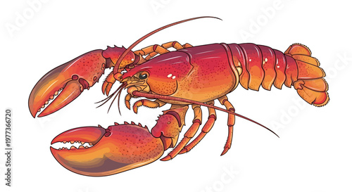 Vibrant Cartoon Illustration of a Red and Orange Lobster