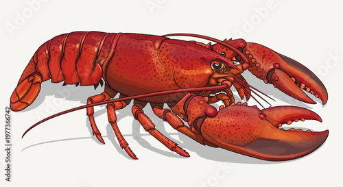 Vibrant Red Lobster Illustration with Detailed Claws and Antennae
