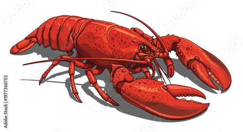 Vibrant Red Lobster Illustration with Detailed Claws and Antennae