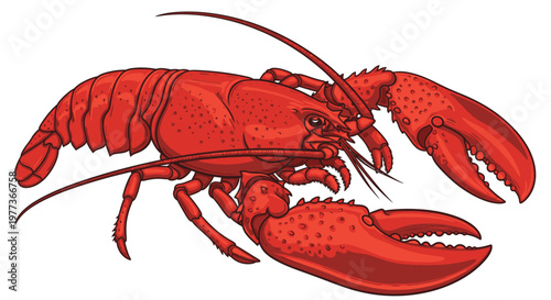 Vibrant Red Lobster Illustration with Detailed Claws and Antennae