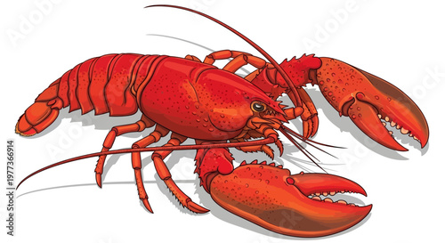 Vibrant Red Lobster Illustration with Detailed Claws and Antennae