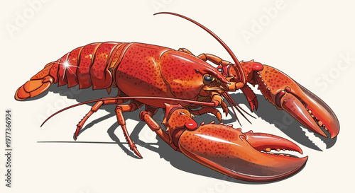 Vibrant Red Lobster Illustration with Detailed Claws and Antennae