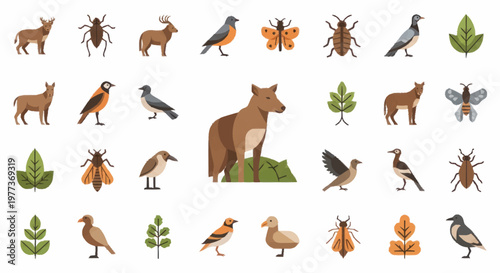 Collection of various wild animals and insects.