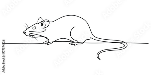 Minimalist continuous line drawing of a small rat with a long tail and sharp whiskers