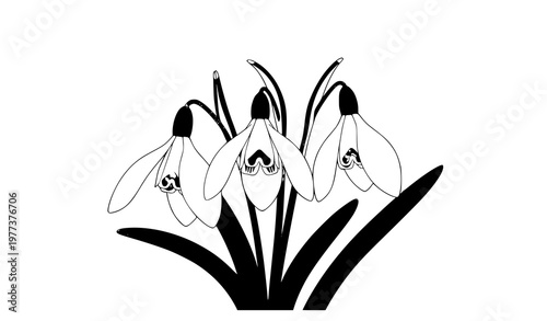 A minimalist black and white illustration of snowdrops in a simple design