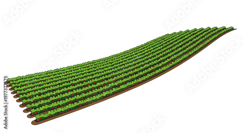 Cartoon Illustration of Strawberry Field with Rows of Green Plants