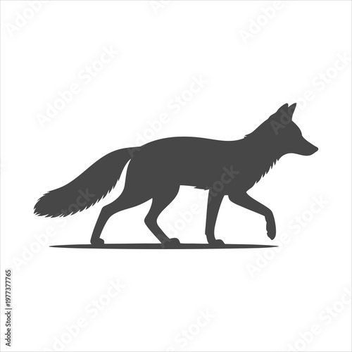 A sleek black fox silhouette walking on a white background