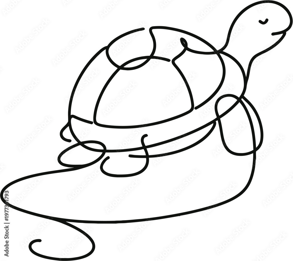 Fototapeta premium turtle