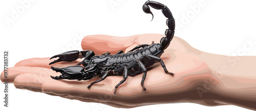 Dangerous black scorpion crawling on human hand realistic vector illustration showing poisonous desert insect wildlife and caution concept