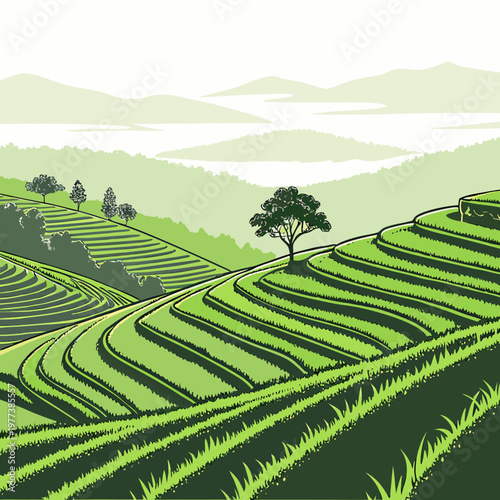 A serene landscape depicts terraced rice paddies cascading down gentle slopes towards a misty distant body of water high quality professional detailed